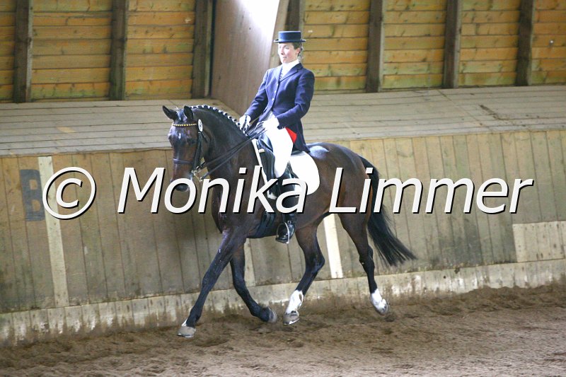 006M5490_Dressurpferde L.JPG